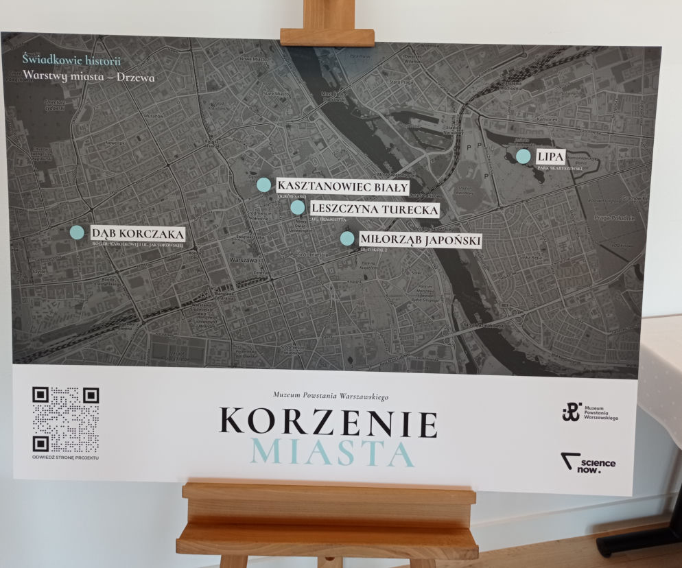 Drzewa na mapie Korzeni Miasta