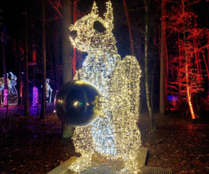 Lumina Park Bydgoszcz