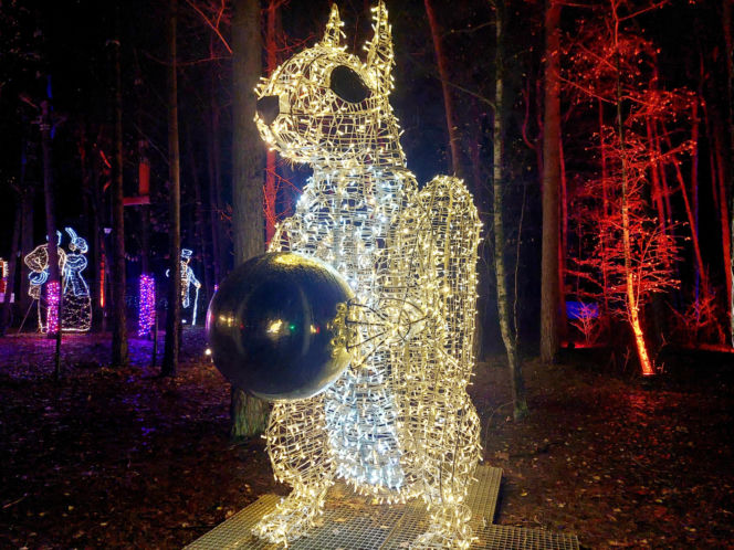 Lumina Park Bydgoszcz