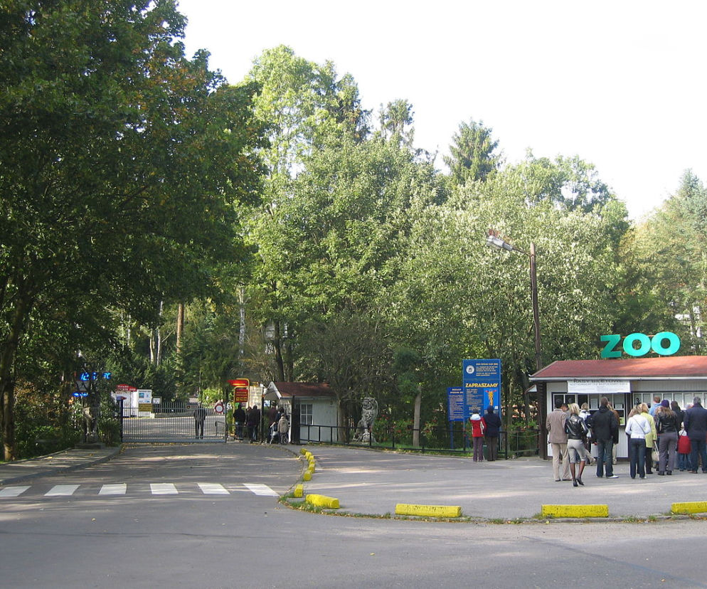 ZOO w Gdańsku jest gotowe na szturm turystów.