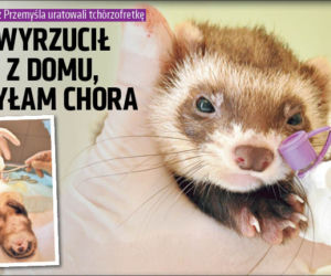 Pan wyrzucił mnie z domu, bo byłam chora