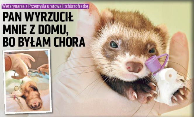 Pan wyrzucił mnie z domu, bo byłam chora