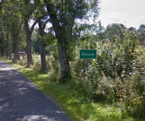Kocury