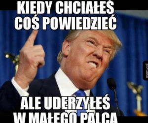 Memy wybory