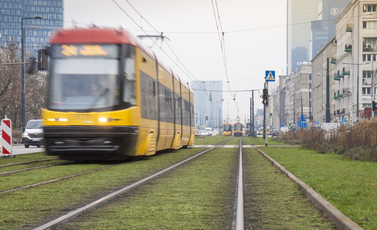 Tramwajarze zazielenili torowiska w centrum 
