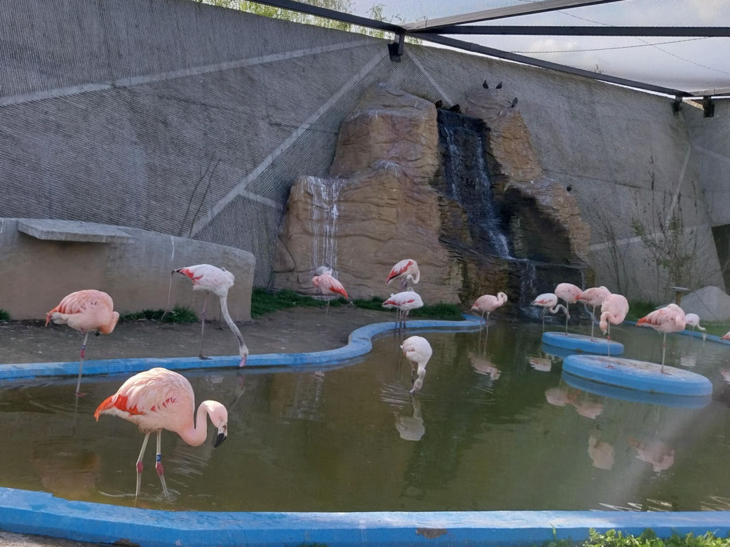 Wiosenny spacer w zamojskim zoo