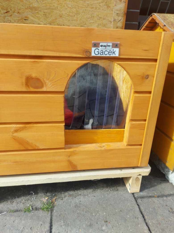 Kot Gacek i jego nowy domek
