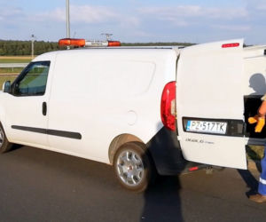 Inspektorzy Transportu Drogowego uratowali kotka