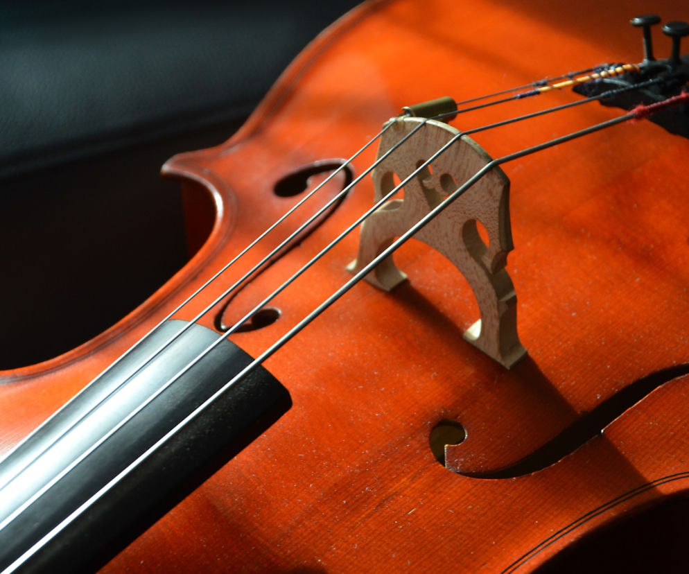 Trwa akcja edukacyjna Filharmonia Młodego Melomana