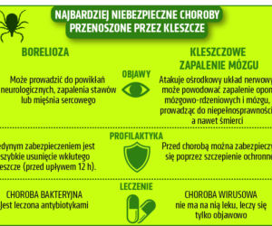 Infografika - kleszcze 1