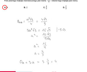 Matura 2021, matematyka poziom podstawowy. Odpowiedzi eksperta