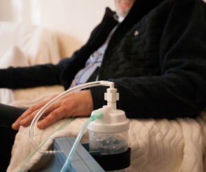 kury sąsiad nieuleczalna choroba alergia