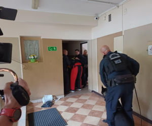Psy służbowe, szkolenia i strefa pierwszej pomocy. Trwa drugi dzień CERBERUS K9 w Ostrowie
