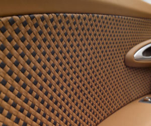 Rembrandt Bugatti Veyron Grand Sport Vitesse