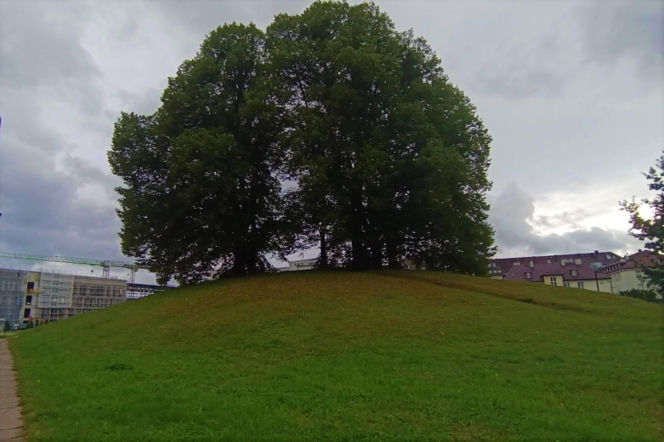 Wzgórze Napoleona w Szczecinie