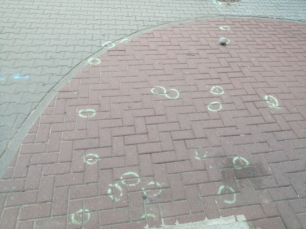Akcja "Pety na ziemi" w Poznaniu