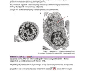 Matura próbna 2026 - biologia. Wszystkie odpowiedzi do arkusza CKE z biologii 14.01.2026