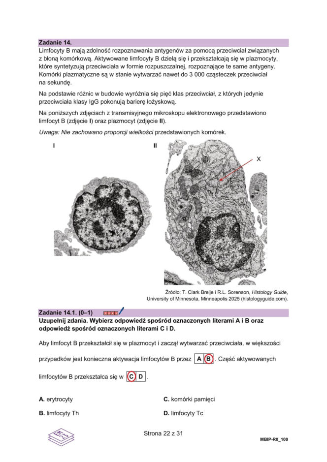 Matura próbna 2026 - biologia. Wszystkie odpowiedzi do arkusza CKE z biologii 14.01.2026