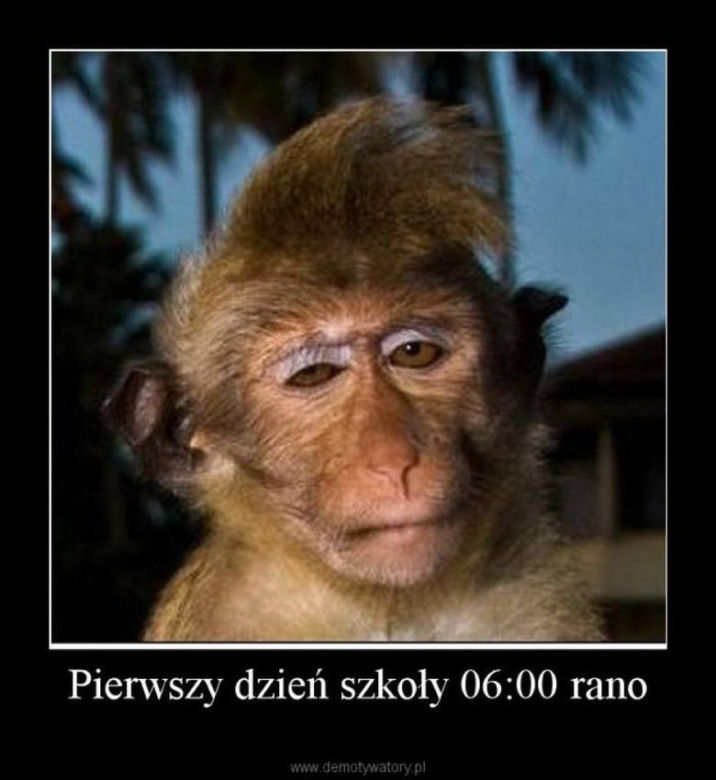 Powrót do szkoły na wesoło. Zobacz najlepsze MEMY