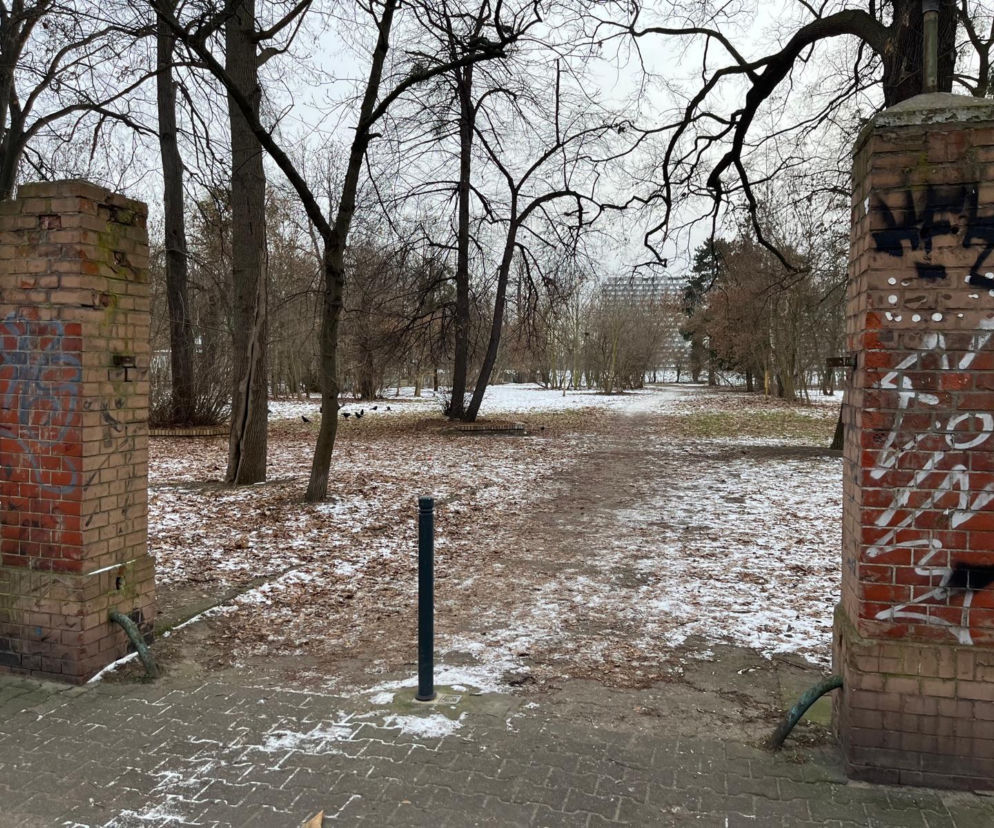 Nowy park we Wrocławiu jeszcze tego lata! Mieszkańcy będą zachwyceni