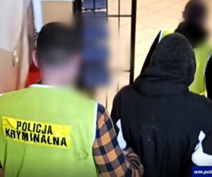 Pies wywąchał skradzione szczepionki na koronawirusa! Bezczelny złodziej z Iłowa nie miał szans [WIDEO]