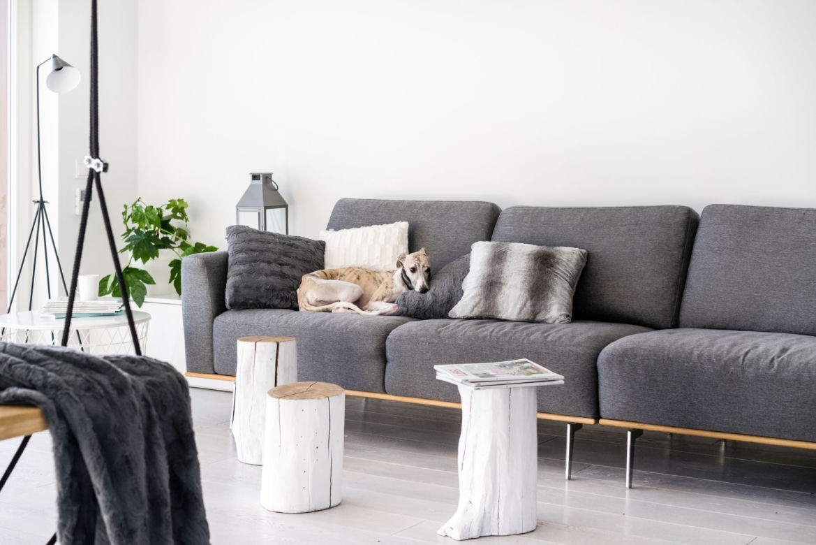 100-metrowy nowoczesny apartament w bieli