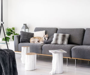 100-metrowy nowoczesny apartament w bieli