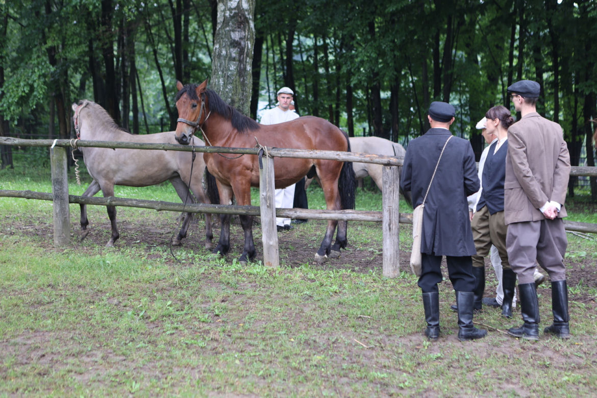 Jarmark koński w Muzeum Wsi Lubelskiej