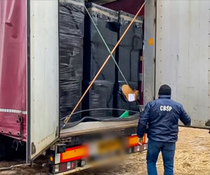 Służby przejęły 32 tony tytoniu i 324 krzewy konopi