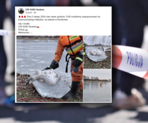 Przymarzł do lodu i nie miał szans. Tragiczny finał akcji ratunkowej na zalewie! 