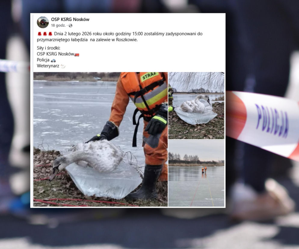 Przymarzł do lodu i nie miał szans. Tragiczny finał akcji ratunkowej na zalewie!