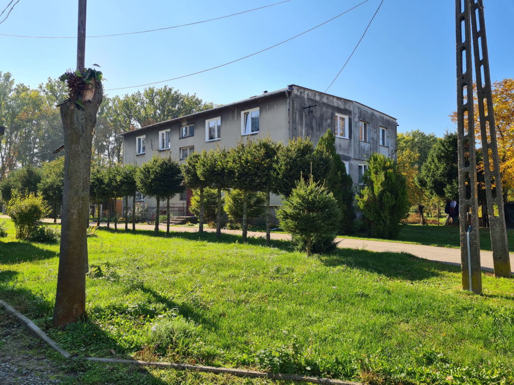 Oszustwo na "amerykańską żołnierkę" [GALERIA]