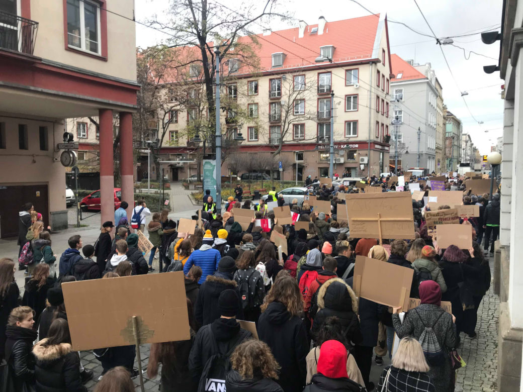 Manifestacja w obronie klimatu