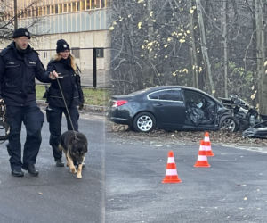Auto rozwalone o drzewo. Nie żyje pasażerka, kierowca zwiał