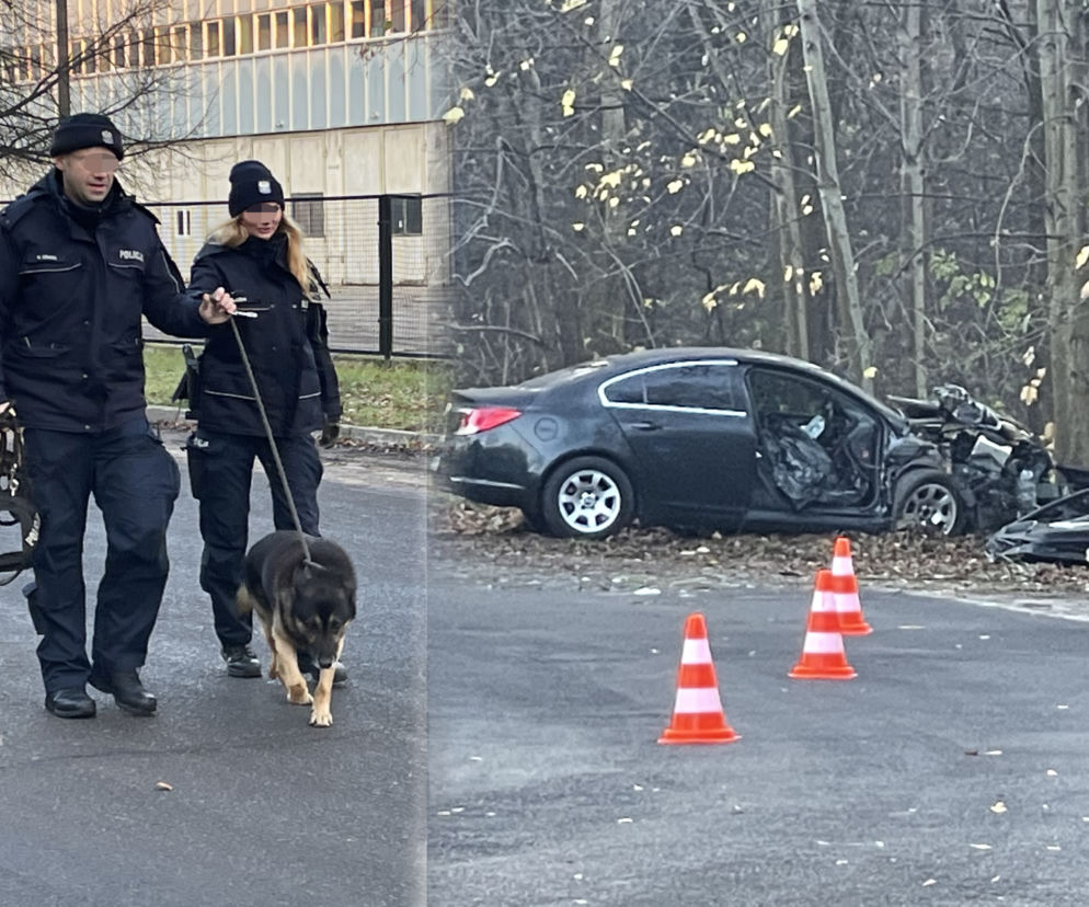 Auto rozwalone o drzewo. Nie żyje pasażerka, kierowca zwiał