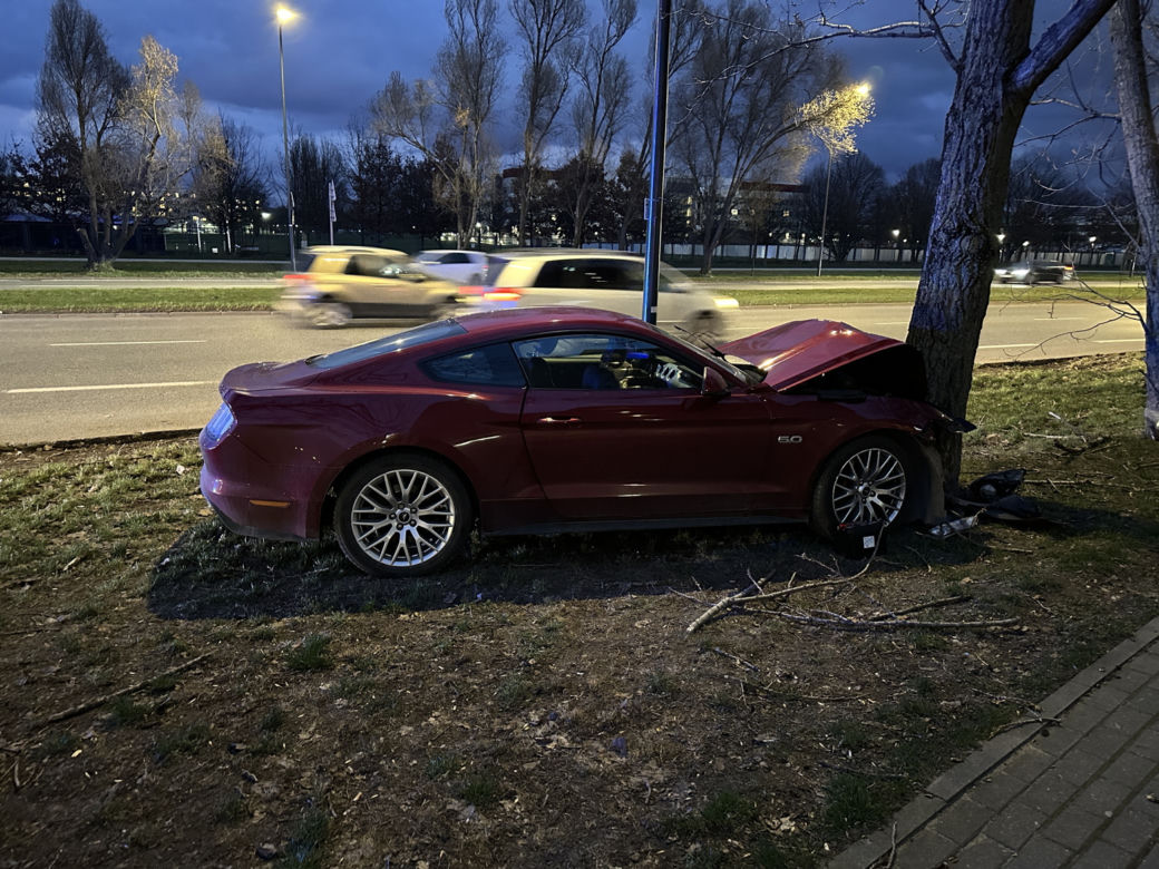 Roztrzaskał się mustangiem na drzewie. Wstrząsający wypadek, kierowca w ciężkim stanie