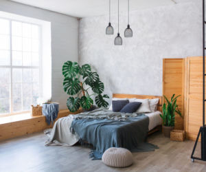 Rośliny w minimalistycznych wnętrzach