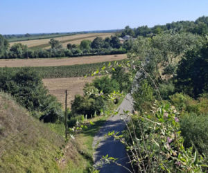 Ossolin