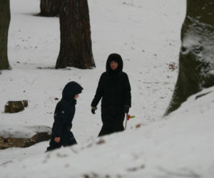 Marta Kaczyńska z synem i psami na sankach w lesie