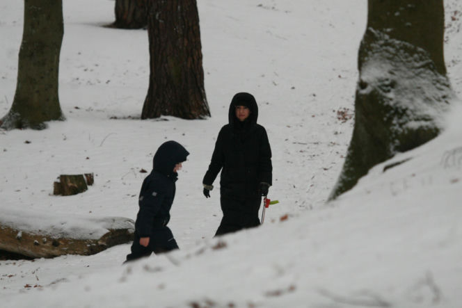 Marta Kaczyńska z synem i psami na sankach w lesie