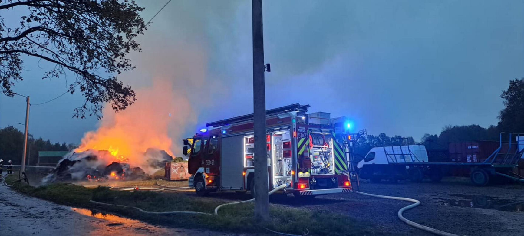 W ogniu spłonął cały zapas jedzenia dla zwierząt z przytuliska. Tragiczna sytuacja zwierząt poruszyła serca ludzi