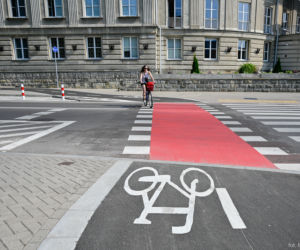 Nowa ścieżka rowerowa w Białymstoku. Ochrania systemy korzeniowe drzew