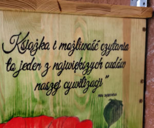 Pierwsza półka bookcrossingowa w Zalesiu. Nowe atrakcje na plaży miejskiej [FOTO]