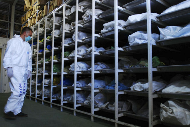 Bogacze płacili za polowania na ludzi? Szokujące oskarżenia