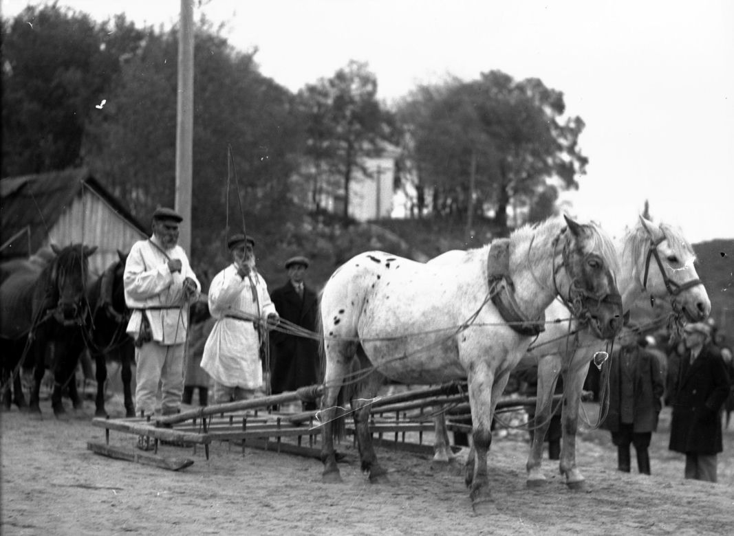 Chłopi białoruscy z bronami w 1934