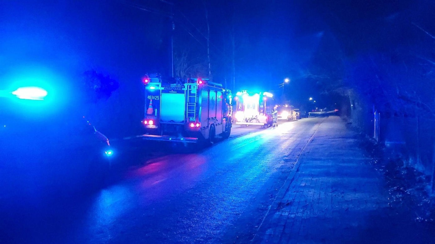 Dąb zabił emeryta. Potężne drzewo runęło na 82-latka