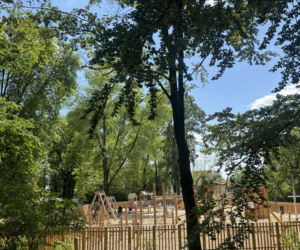 Park Bronowicki znów otwarty. Zabytkowa perełka Lublina odzyskała dawny blask