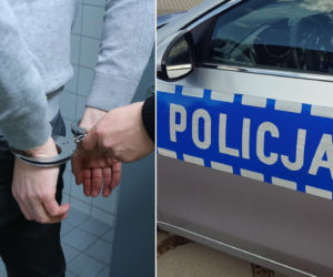 Zatrzymano dziewięciu mężczyzn. Najstarszy ma 72 lata