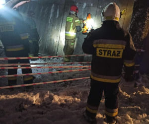 Dukt. 35 świń zginęło w męczarniach! Przygniotły się nawzajem po wypadku MAN-a [ZDJĘCIA]