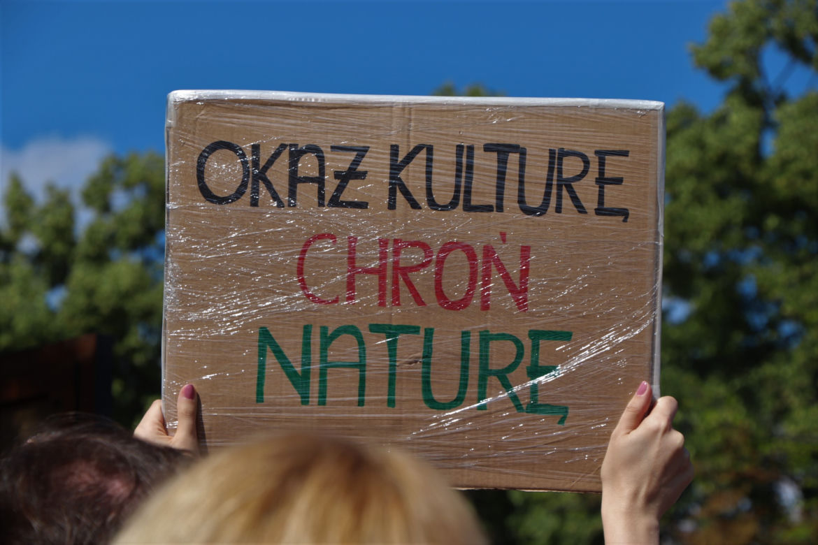 Wielki protest w Toruniu. Mieszkańcy mówią #stopBETONOZIE
